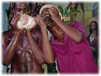 Seafood is the staple in the Bahamian diet, and conch is one of the more popular offerings.