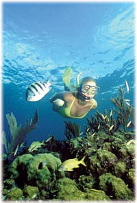 Many hotels specialize in fishing or diving and offer packages that include these activities.